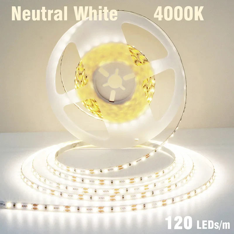 5mm 8mm LED Strip 2835 DC24V 12V 120LEDs/m Home Lamp Strips Red Ice Blue - LED Strip Light - view 8