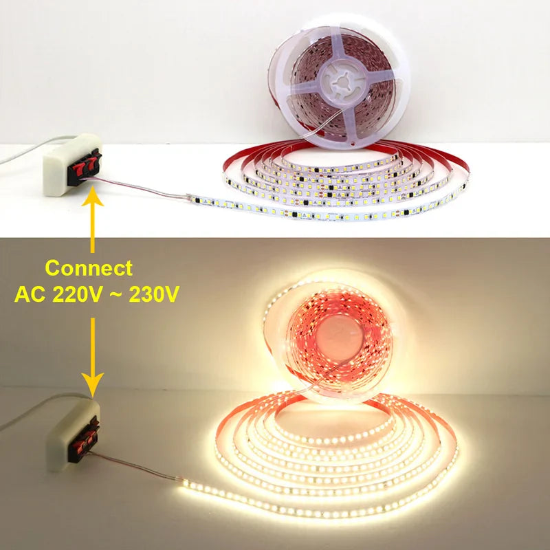 AC220V 230V 5M 600 LED Strip 2835 120LEDs/m Home Lamp Strip Red Ice Blue - LED Strip Light - view 4