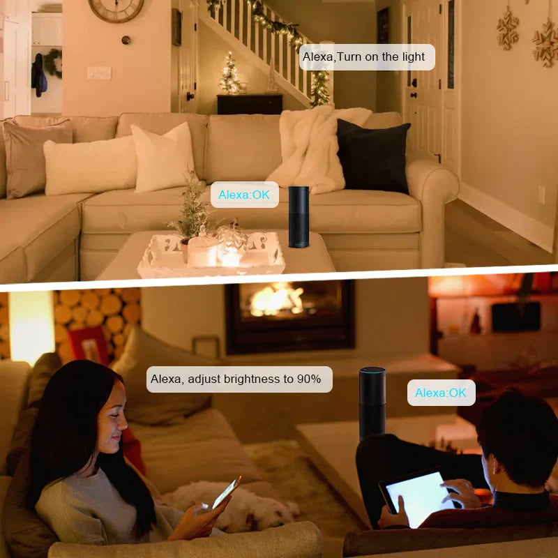 Tuya WiFi LED Controller Alexa Google Home Voice Control RGB RGBW CCT LED Strip - LED Strip Light - view 5