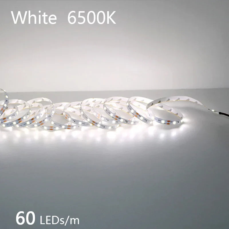 2835 5M 300 600 1200LEDs LED Strip DC12V 24V 120LEDs/m Home Waterproof IP65 Lamp - LED Strip Light - view 7