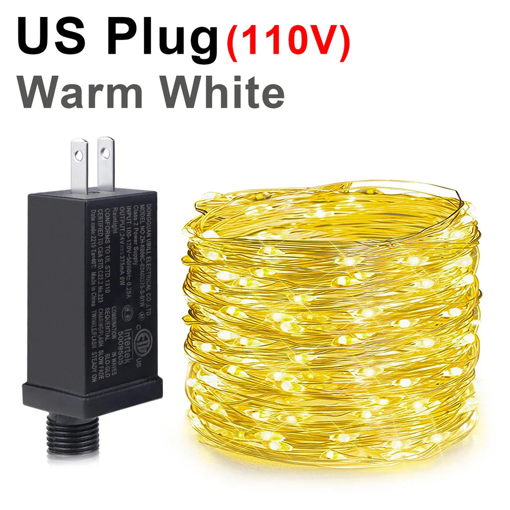 110V 220V LED Light Strip 100M Copper Wire Fairy LED String Light Waterproof Ribbon - LED Strip Light - view 7