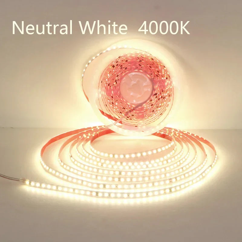 AC220V 230V 5M 600 LED Strip 2835 120LEDs/m Home Lamp Strip Red Ice Blue - LED Strip Light - view 8