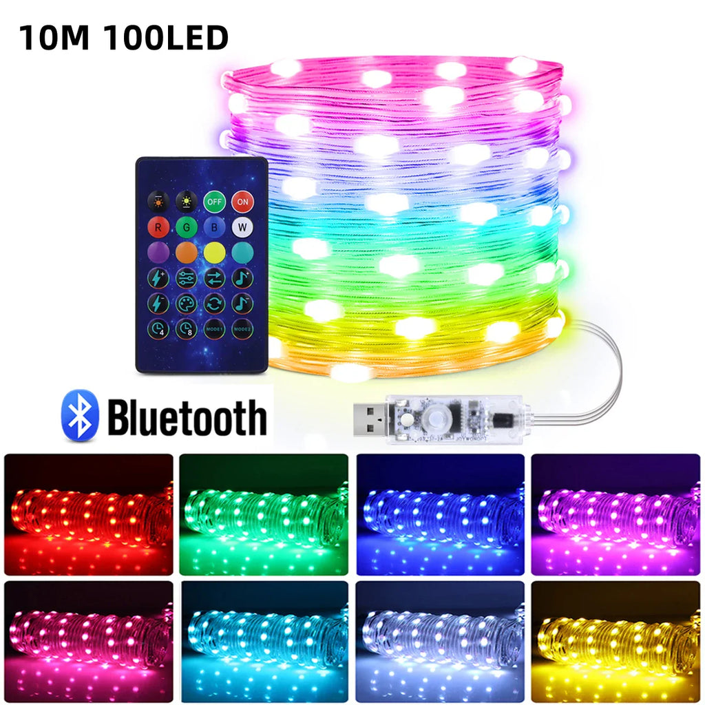 WS2812B RGBIC LED String 20m 10m 5m USB Fairy Lights Dreamcolor DIY Smart IC - Home Improvement - view 8