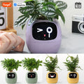 Gen1 Tuya Ivy Smart Planter, Endless Fun Over 49 Rich Expressions, 7 smart sensors, AI - Home Improvement